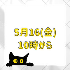 【参加無料】5月16日 カサンドラさんのZoom交流会 - 小樽市