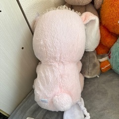 🐰の画像