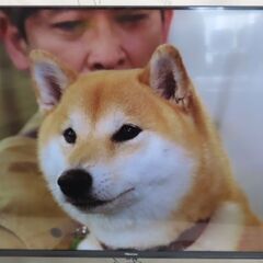 ♪Hisense/ハイセンス 4K 液晶テレビ 43E6K 2023年 43型TV♪の画像