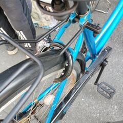 ブルータイプパパチャリの画像