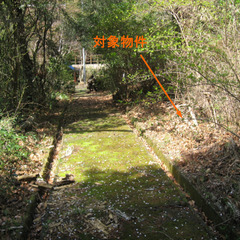 №E526【静岡県伊豆の国市奈古谷】別荘地（山林）1筆あげます！管理費14,400円／年 − 静岡県