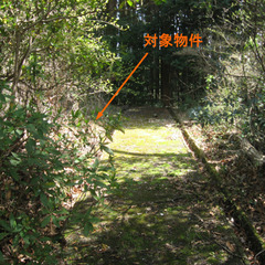 №E526【静岡県伊豆の国市奈古谷】別荘地（山林）1筆あげます！管理費14,400円／年 - 伊豆の国市