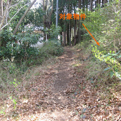 №E526【静岡県伊豆の国市奈古谷】別荘地（山林）1筆あげます！管理費14,400円／年 - 不動産