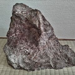 鑑賞石の画像