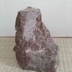鑑賞石の画像