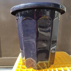 8寸　プラスチック鉢　色紺の画像