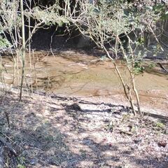 商談検討中【ポツンと一軒家】湧き水あり、プライベートリバー 都心から1時間程度 別荘  山林  ガレージ ペット可 田舎暮らし 空き家 古民家 − 千葉県