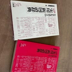 実用新国語辞典の画像