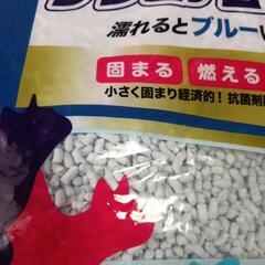 猫砂３袋の画像