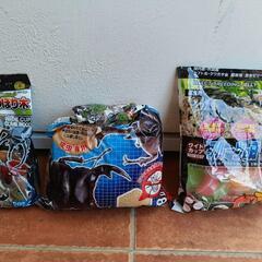 カブトムシ　クワガタ　飼育セット