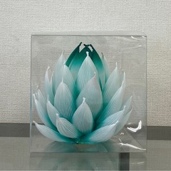 蓮の花の画像