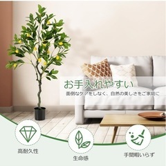 人工観葉植物の画像