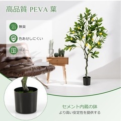 人工観葉植物の画像