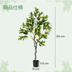 人工観葉植物の画像