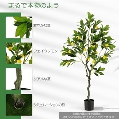 人工観葉植物の画像