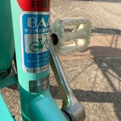 ブリヂストンエコパル22インチの画像