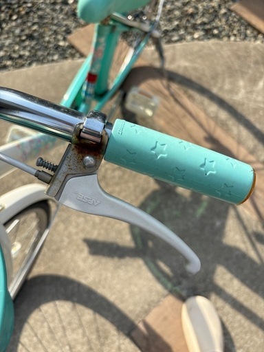 ブリヂストンエコパル22インチ