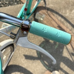 ブリヂストンエコパル22インチの画像