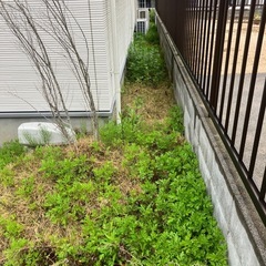草刈り！格安にてよろしくお願いします。