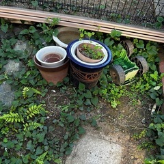 植木鉢いろいろの画像