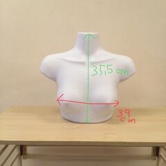 女性用ハーフトルソー