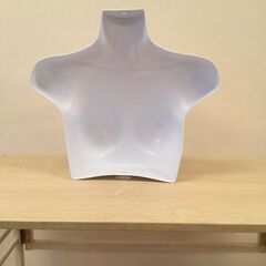 【中古品】女性用ハーフトルソーの画像