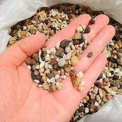 【お取引中】カメ　水槽用底砂(砂利)の画像