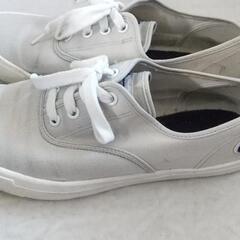 Championスニーカー25.0