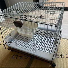 うさぎ　ゲージ　動物