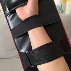 ボクシングパンチングミットの画像