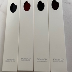 ダイアナライスレジンスプーン4本セット
