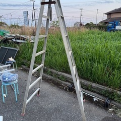 高さがあるアルミ脚立