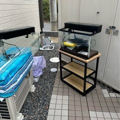 60センチ水槽セット