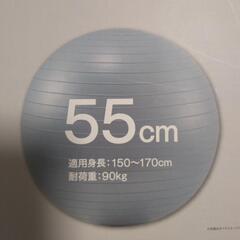ニトリ　ヨガボールの画像
