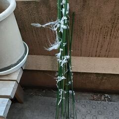 終了【バラ売り可】マンション家庭菜園：花台（架台）、肥料、支柱、プランター、植木鉢の画像