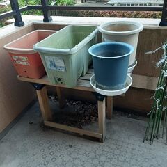 終了【バラ売り可】マンション家庭菜園：植木鉢