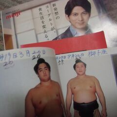大相撲 力士 名鑑 平成11年度版 1992年秋 2017年 大相撲に関する本 3冊 セット お譲りします。＊石川県＊美川より＊期間限定の画像