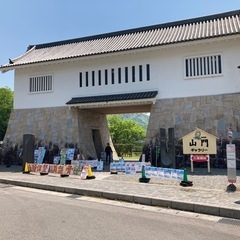 必見❣️【本巣市の方】‼️⁉️カイロプラクティック・骨盤調整体験会❣️ - キャンペーン