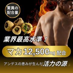 【新品・未開封】亜鉛 450mg マカ 12500mg サプリ（120粒）の画像