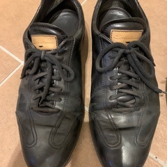 【決まりました】 サントーニ　中古シューズ2点セットの画像