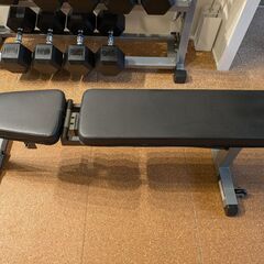 Body Solid アジャスタブルベンチ　