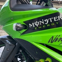
 Ninja250rの画像