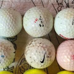 ゴルフのロストボール 22個の画像