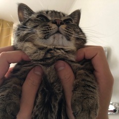 太郎君 もうすぐ1歳