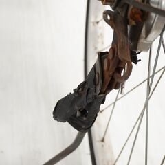 WV シティサイクルの画像