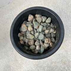 庭 敷石 