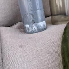 オーバーフロー水槽 90cm(今週中までのお値下げです)の画像