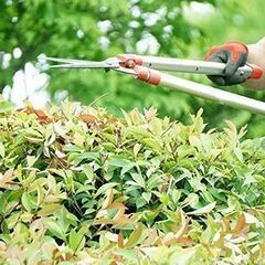 植栽伐採、雑草除去、植栽剪定なら 【植栽伐採の生活緊急修理サービ...
