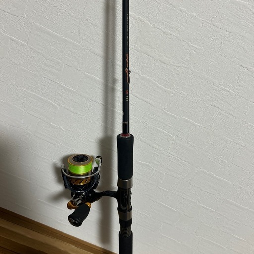 EGING NEW CONCEPT Squid Saber 762、レブロス2004 ロットとリールセット