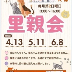 譲渡会に参加します！